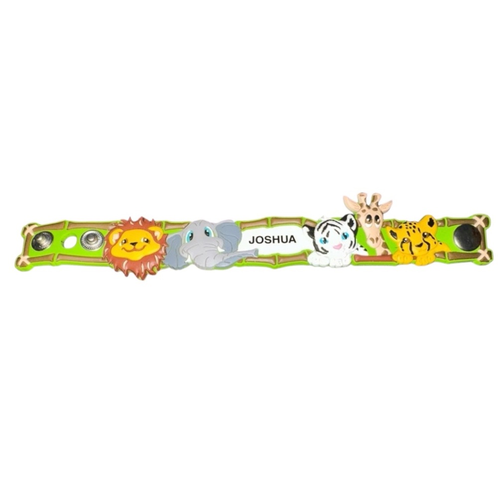 Boys Busch gardens bracelet with custom name Joshua